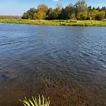 Relax Nad Narwia U Oli I Pawla