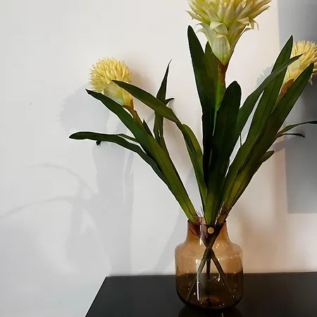 Relax Nad Narwia U Oli I Pawla Appartement *