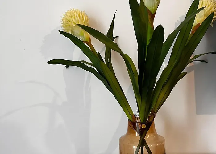 Relax Nad Narwią U Oli I Pawła Apartament *